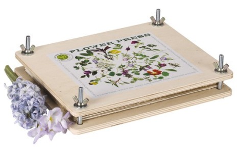 Friends of the Earth flower press.jpg Friends of the Earth flower press.jpg